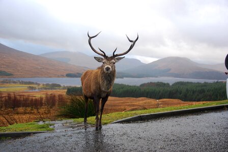 Rannoch moor mountains