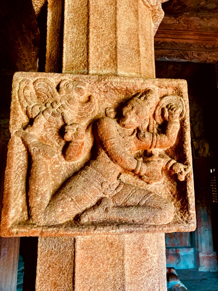 7th_century_Vishwa_Brahma_Temples,_Alampur,_Telangana_India_-_49