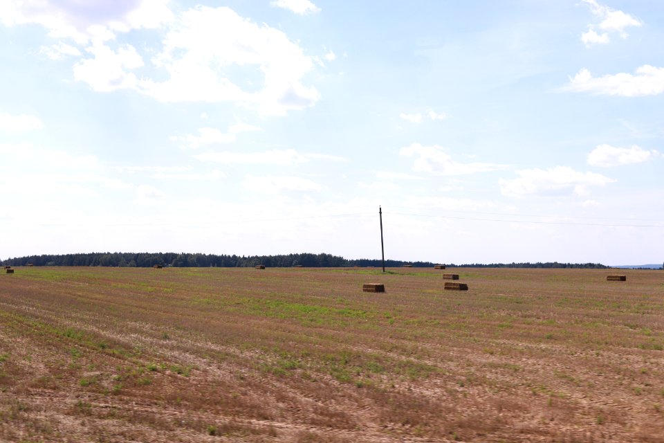 8800_13th_of_August_2018_in_Hrodna_Region_Belarus