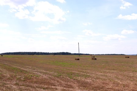 8800_13th_of_August_2018_in_Hrodna_Region_Belarus