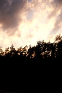 8920_2018_in_Masovian_Voivodeship