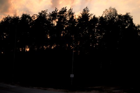 8909_2018_in_Masovian_Voivodeship