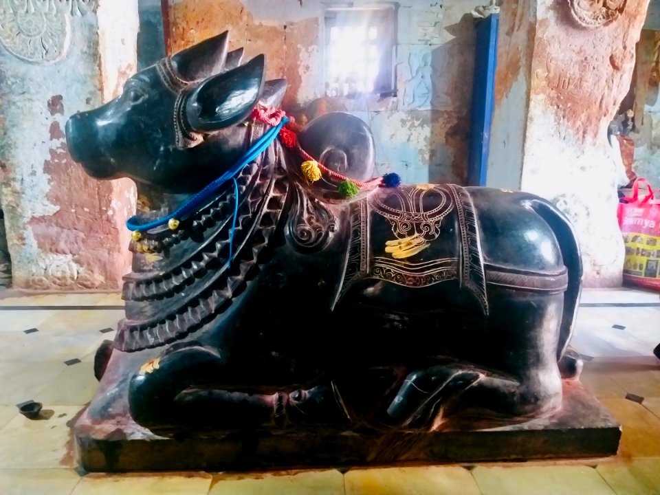 7th_century_Sivanandisvara_temple,_Kadamala_kalva,_Andhra_Pradesh_India_-_18