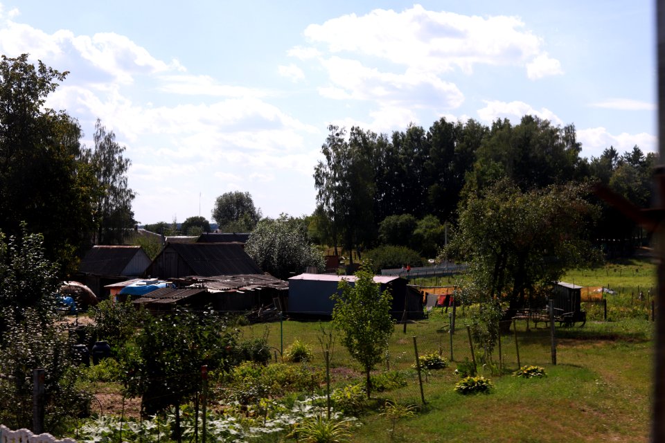8808_13th_of_August_2018_in_Hrodna_Region_Belarus