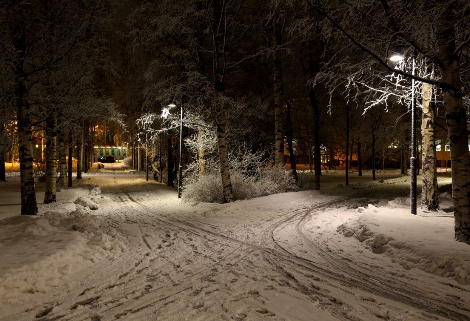 Åströminpuisto_Oulu_20160212_01