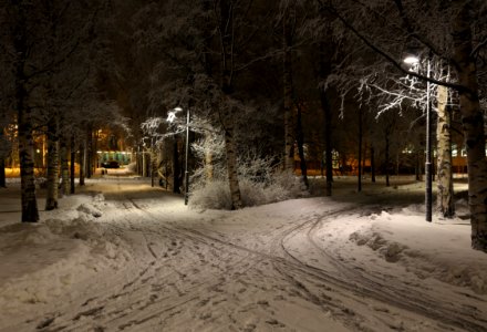 Åströminpuisto_Oulu_20160212_01