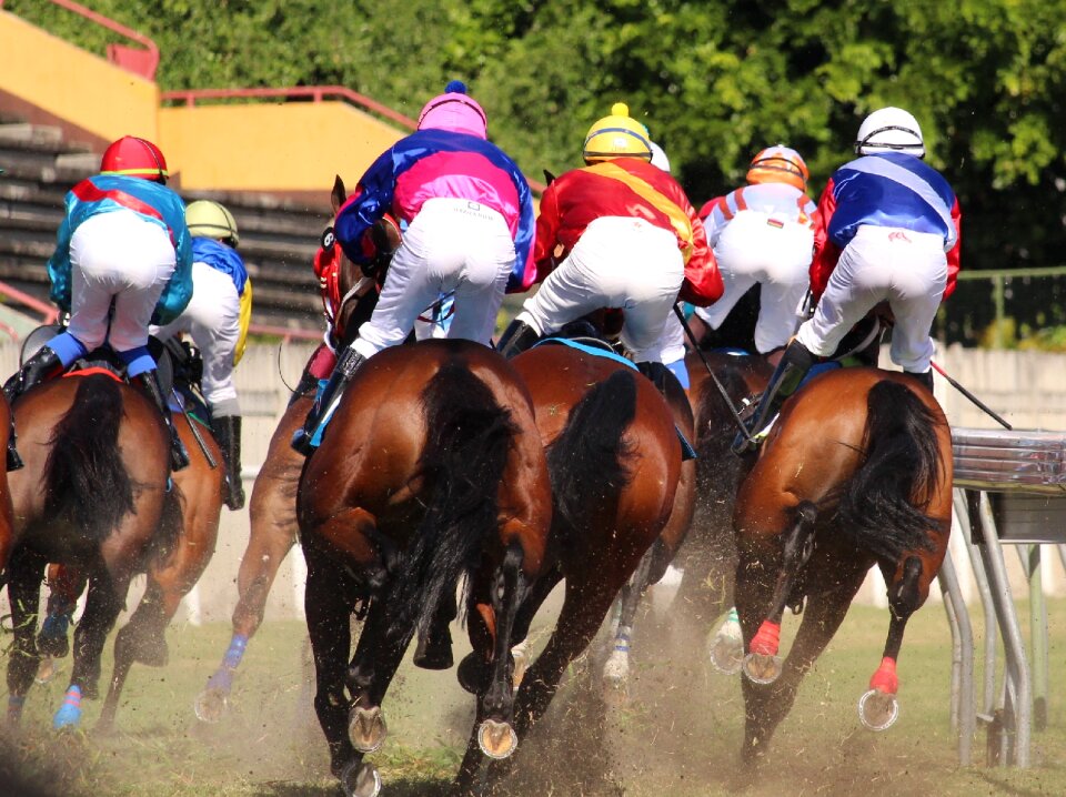 Horse jockey mauritius