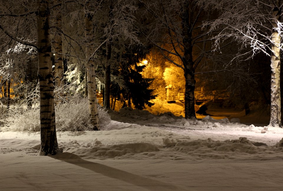 Åströminpuisto_Oulu_20160212_02