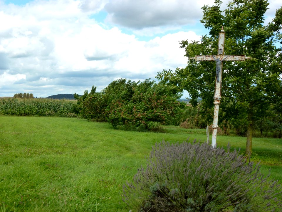 Écly_(Ardennes)_croix_à_la_ferme_de_Thorin