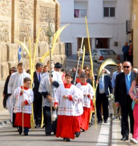 Épila_-_Celebración_de_Domingo_de_Ramos_con_estética_preconciliar_(2012)_01