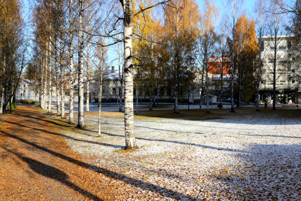Åströminpuisto_Oulu_20191020