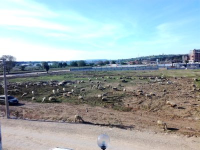 Çanakkale_KYK_önü
