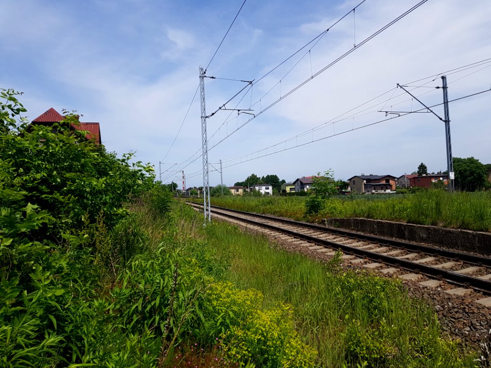Żory_Baranowice_(8)