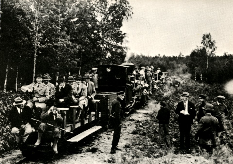 Älgjakt_Konung_Gustaf_V_Konung_Alfonso_Spanien_i_Böda_kronopark