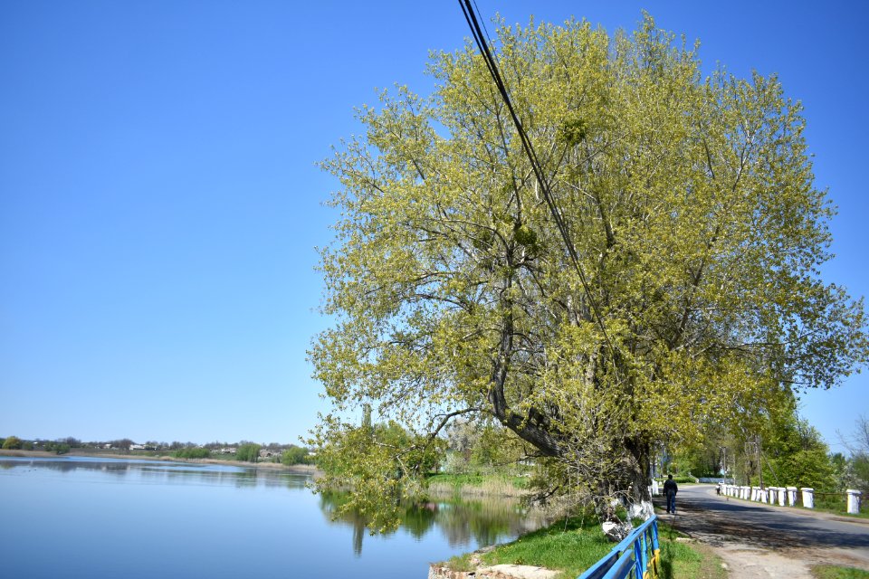 Баланівка_16