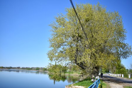 Баланівка_16