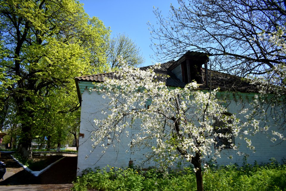 Баланівка_37