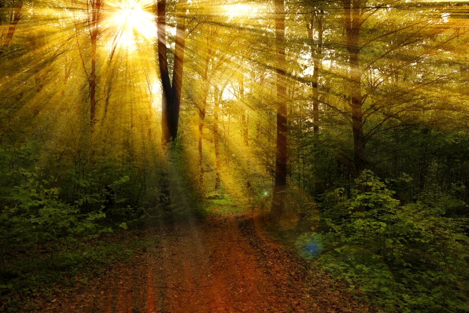 Landscape light sun
