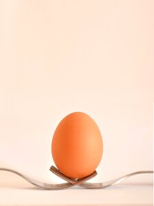 Food egg forks