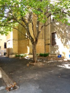 Église_Saint-Bruno-les-Chartreux_-_Chevet