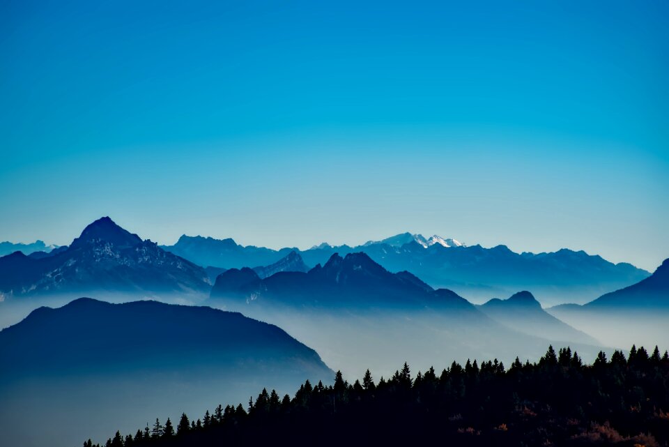 Mist sunrise forest