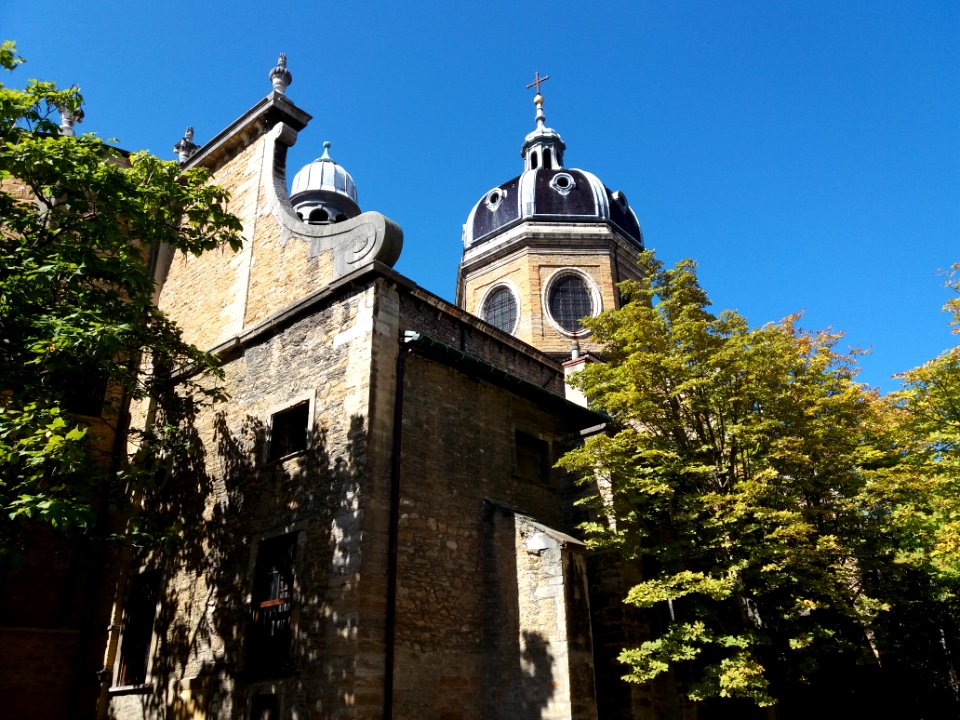 Église_Saint-Bruno-les-Chartreux_-_Côté_sud-est_depuis_l'Institution_des_Chartreux