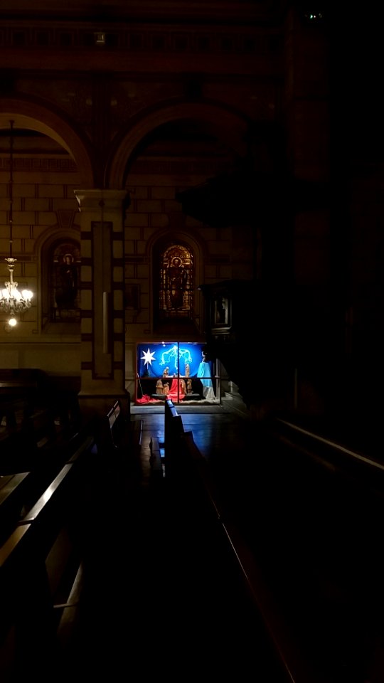 Église_Saint-Denis-de-la-Croix-Rousse_de_Lyon_-_Crèche_2018_de_loin