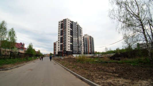 Раменское_Семейная_улица_2020-05-10