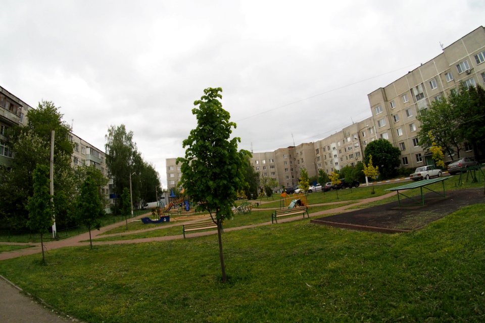 Посёлок_Электроизолятор_2020-05_s30