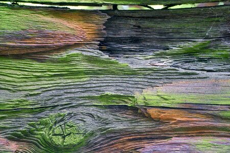 Old wood ailing