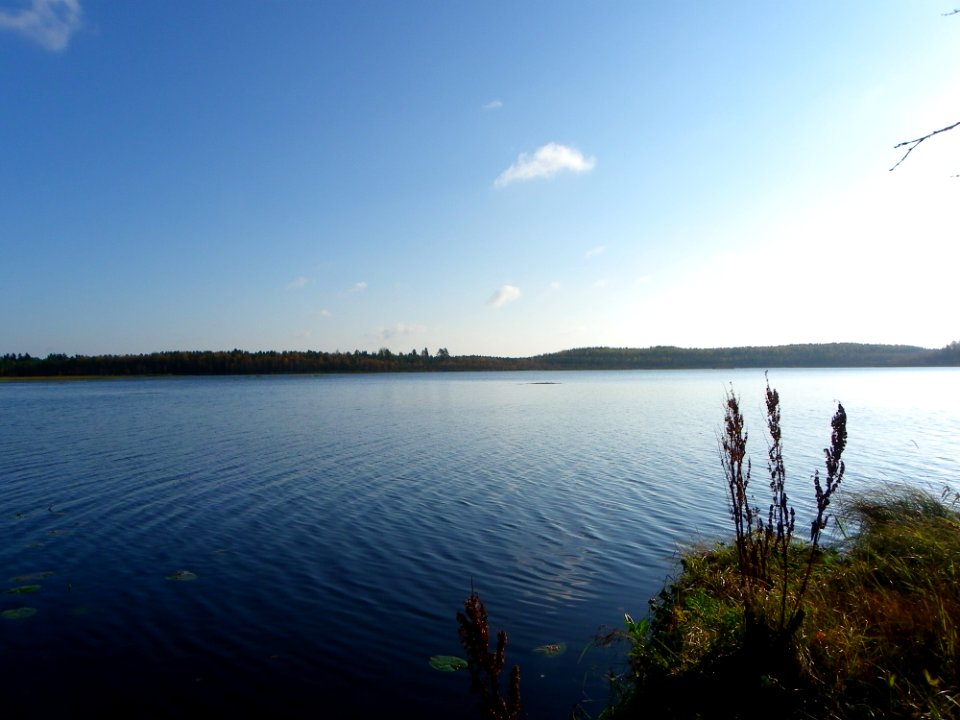 Озеро_Шапшозеро