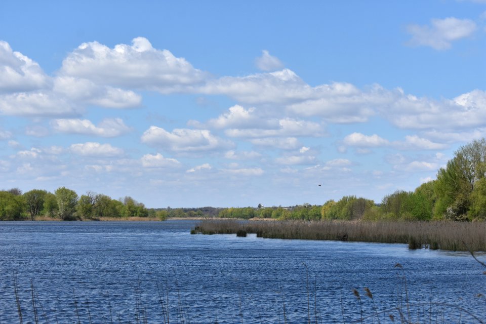Село_Береданка_16