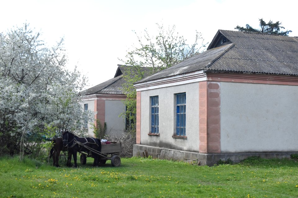 Село_Бережанка_10