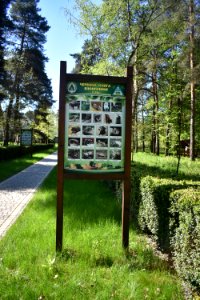 Ободівка_11