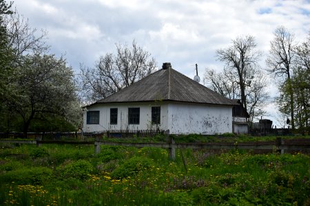 Соколіка_22