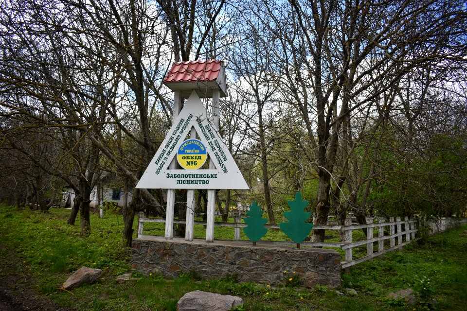 Соколіка_23