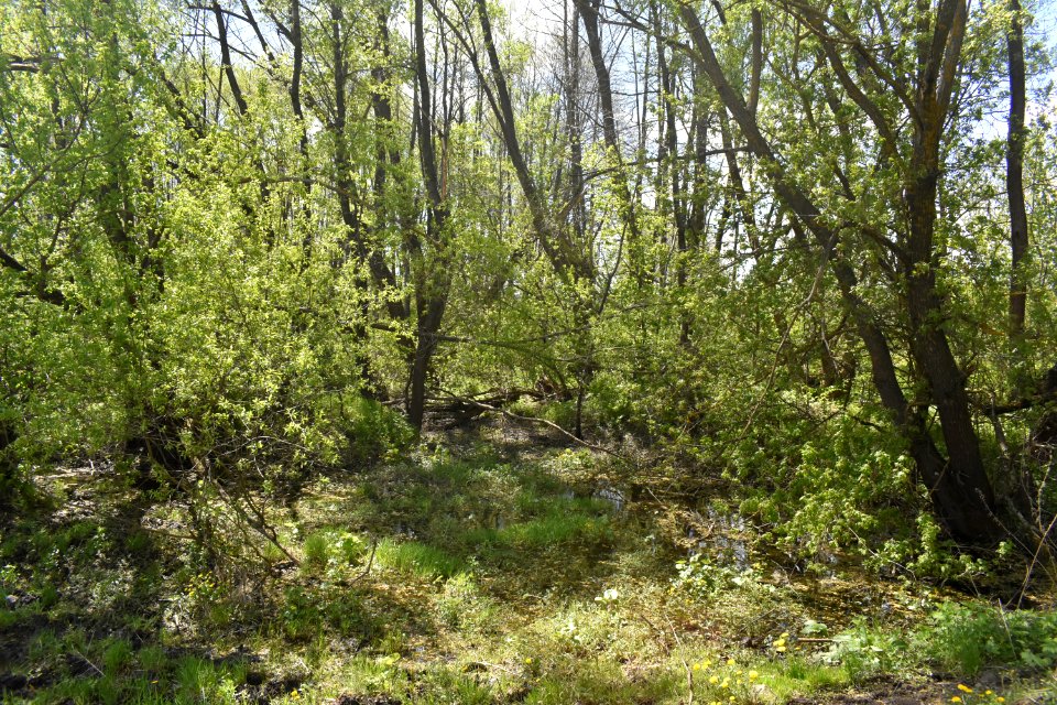 Село_Бержанка_03