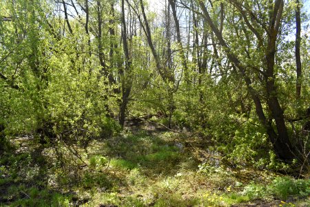 Село_Бержанка_03
