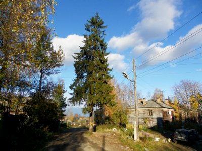 Старая_Кукковка