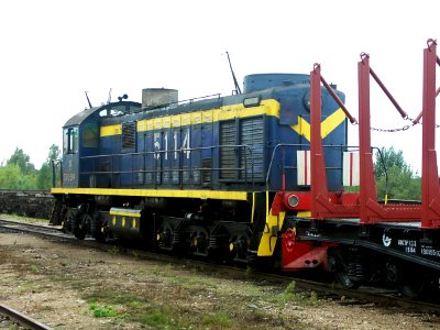 ТЭМ2-5114,_Литва,_Алитусский_уезд,_станция_Алитус_(Trainpix_90882)