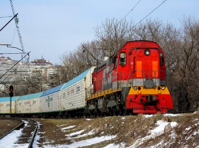 ТЭМ7А-0486,_Russia,_Primorsky_Krai,_Gaydamak_station_(Trainpix_126737)