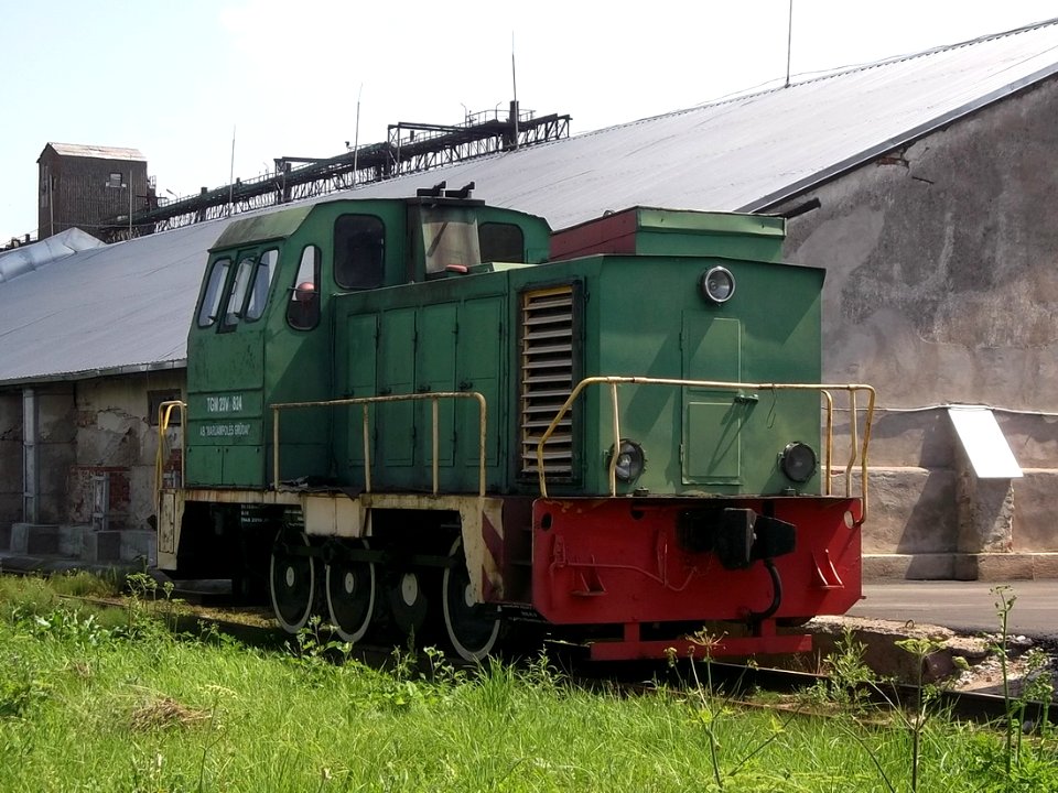 ТГМ23Б-824,_Литва,_Мариямпольский_уезд,_подъездной_путь_от_станции_Вилкавишкис_(Trainpix_94257)