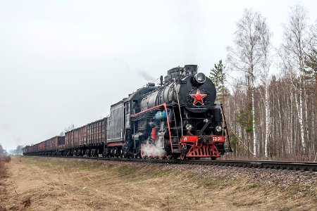 Л-5231,_Россия,_Смоленская_область,_перегон_Крапивинская_-_Остёр_(Trainpix_141558)