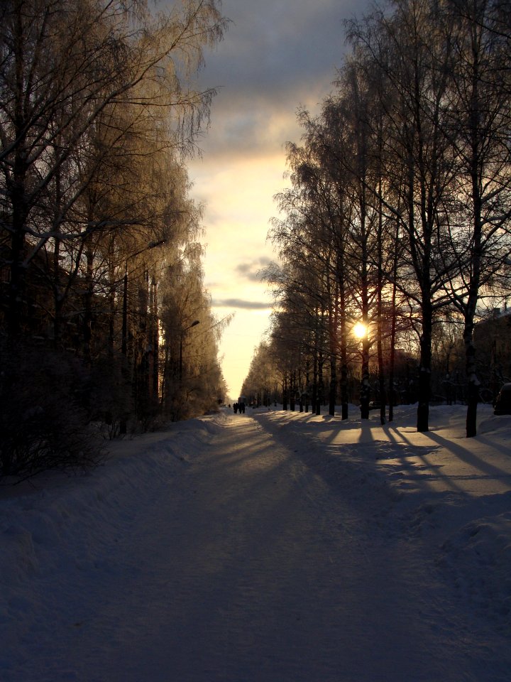 Улица_Пушкина_в_январе,_Коряжма_(01)
