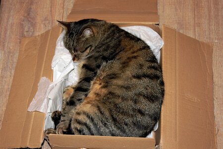 Box relax rest