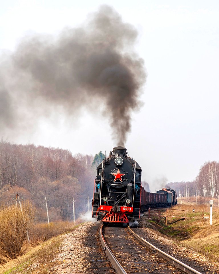 Л-5231,_Россия,_Смоленская_область,_перегон_Энгельгардтовская_-_Стодолище_(Trainpix_143206)