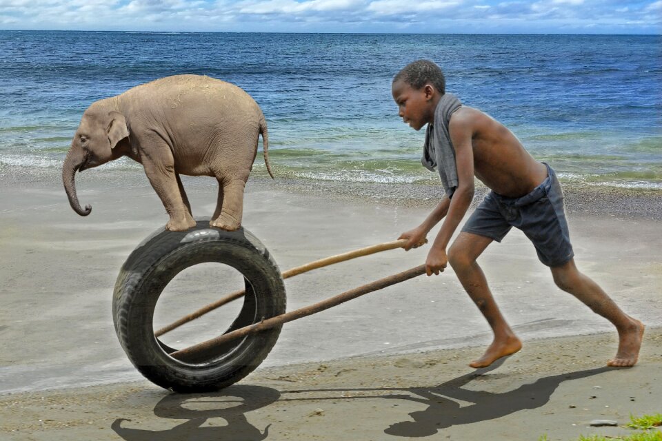 Tire running childhood