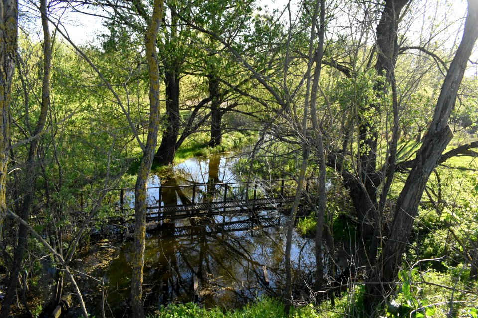 Марківка_10