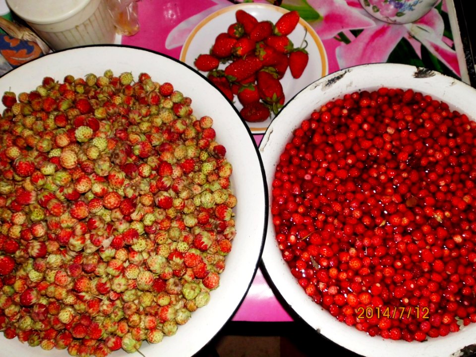 Клубника_луговая_Земляники_садовая_и_лесная_(Fragaria_viridis_ananassa_vesca)_f001