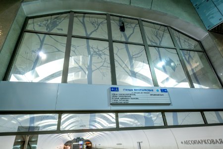 Метро_Лесопарковая_12